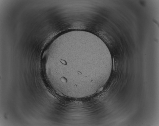 X0000097510252200803201621