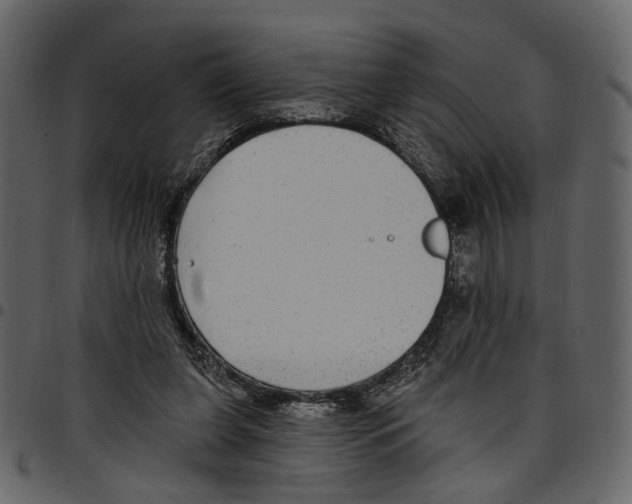 X0000097510255200803201621