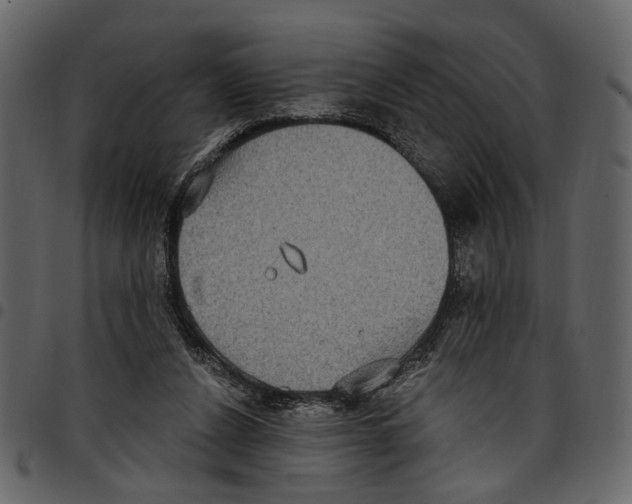 X0000097510256200803201621
