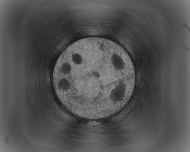 X0000097510257200803201621