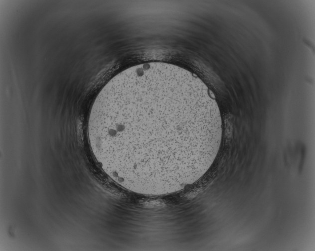 X0000097510258200803201621