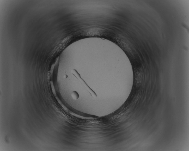 X0000097510260200803201621