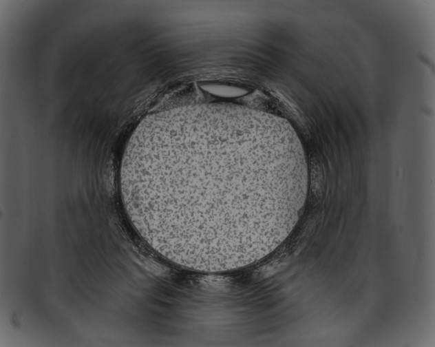 X0000097510261200803201621