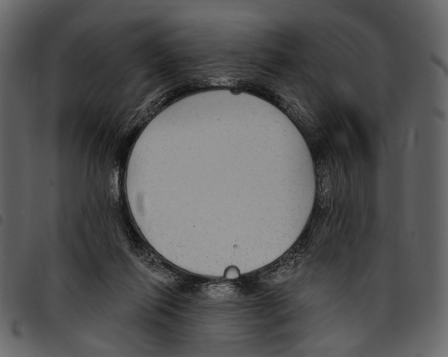X0000097510262200803201621