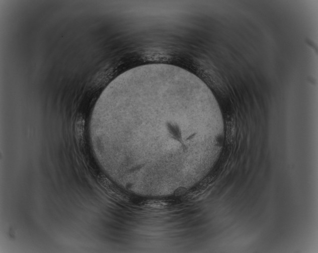 X0000097510263200803201621