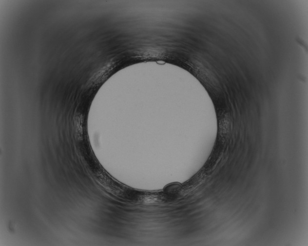 X0000097510264200803201621