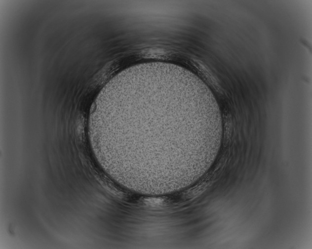 X0000097510265200803201621