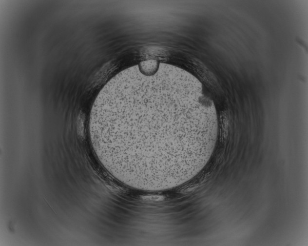X0000097510266200803201621