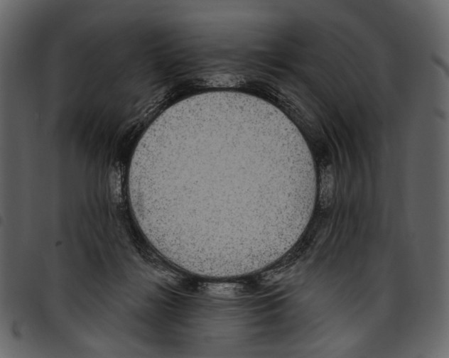 X0000097510268200803201621