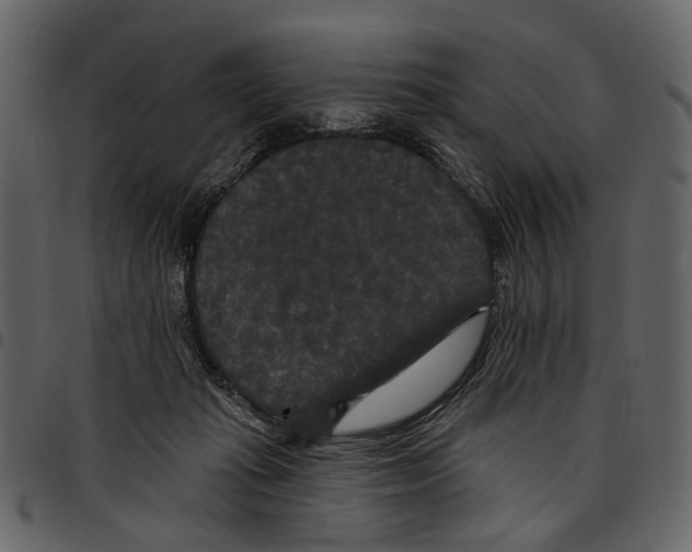 X0000097510269200803201621