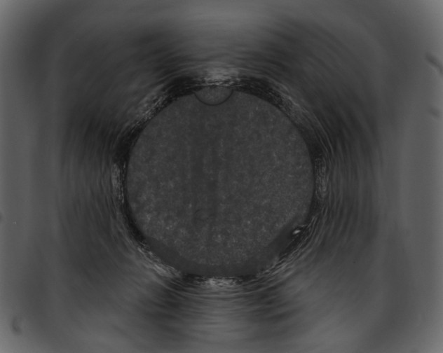 X0000097510270200803201621