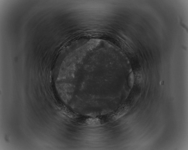 X0000097510271200803201621