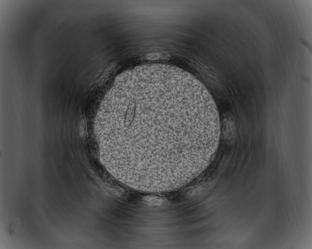 X0000097510272200803201622