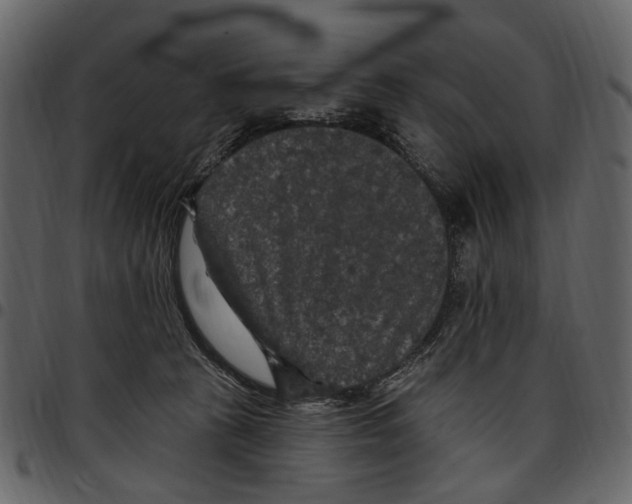 X0000097510273200803201622