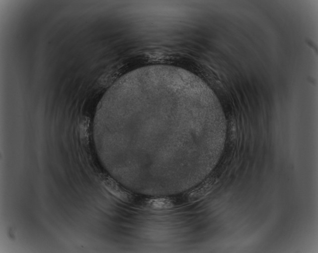 X0000097510275200803201622