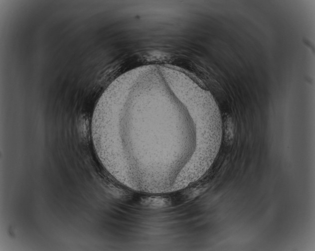 X0000097510276200803201622