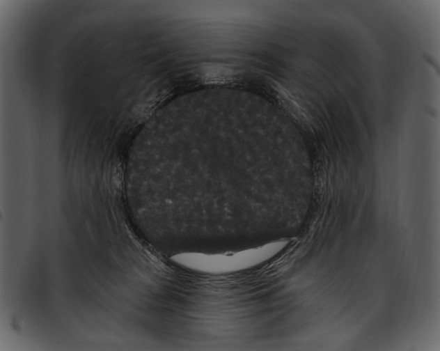 X0000097510277200803201622