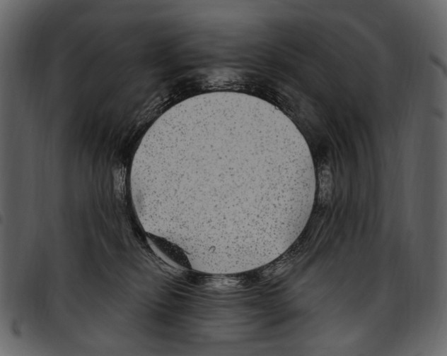 X0000097510278200803201622