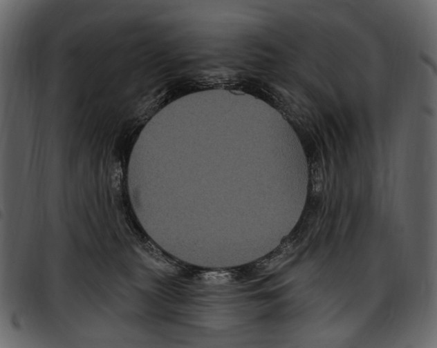 X0000097510279200803201622