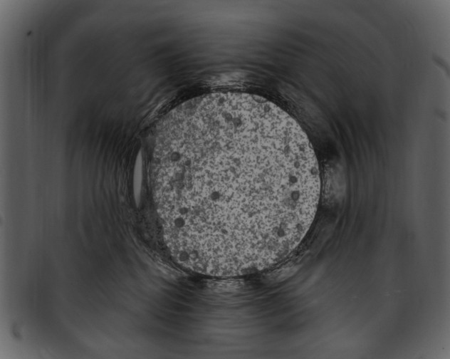 X0000097510282200803201622