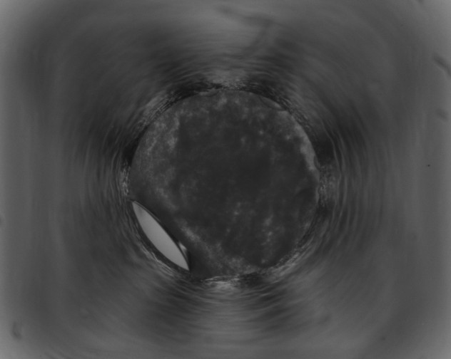 X0000097510285200803201622