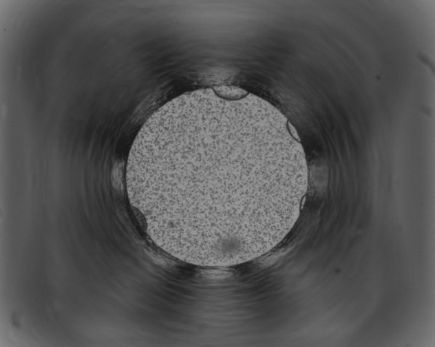 X0000097510286200803201622