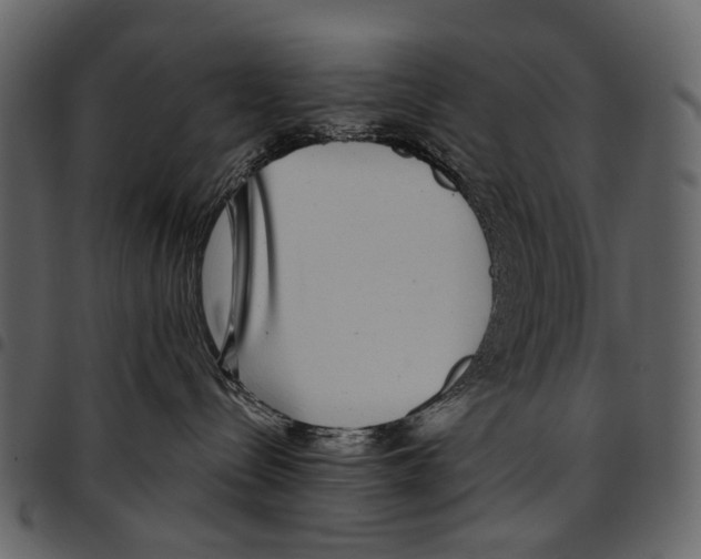 X0000097510288200803201622