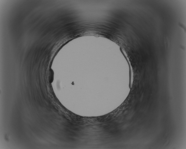 X0000097510289200803201621