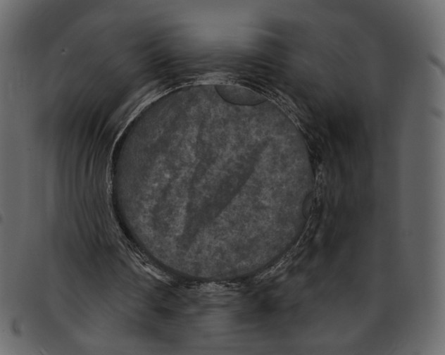 X0000097510290200803201621