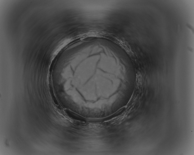 X0000097510292200803201621