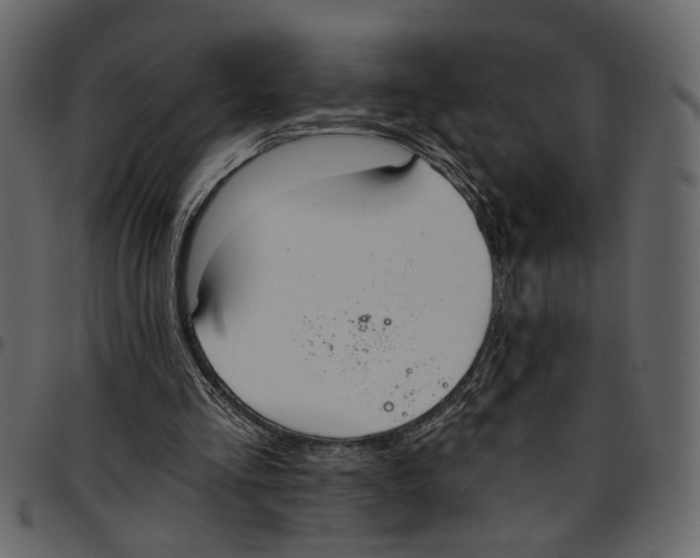 X0000097510293200803201621