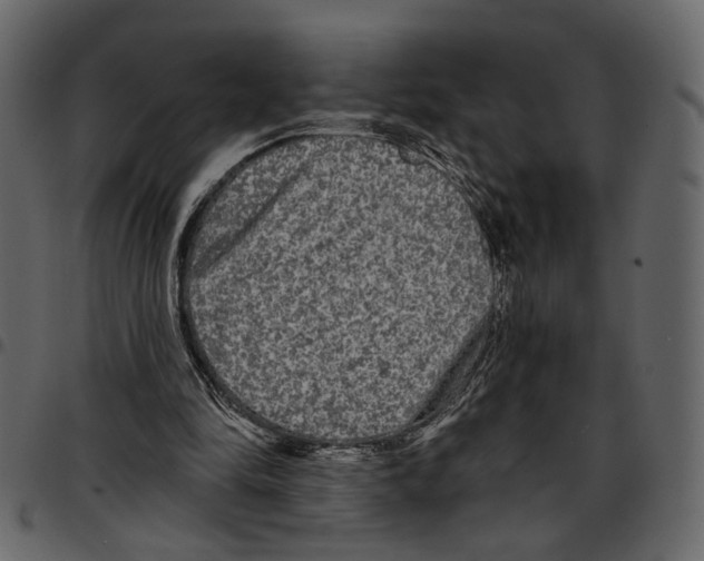 X0000097510294200803201621