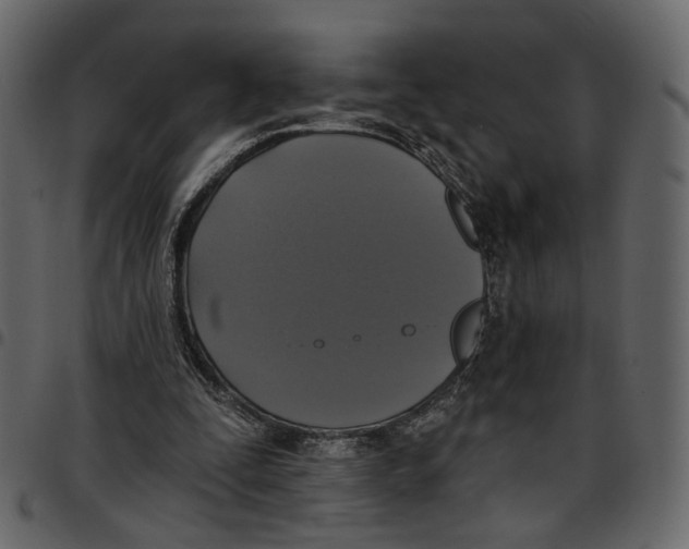 X0000097510295200803201621