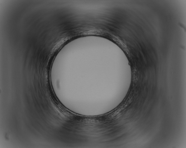 X0000097510298200803201621