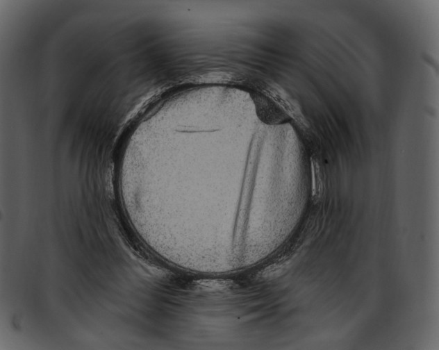 X0000097510300200803201621