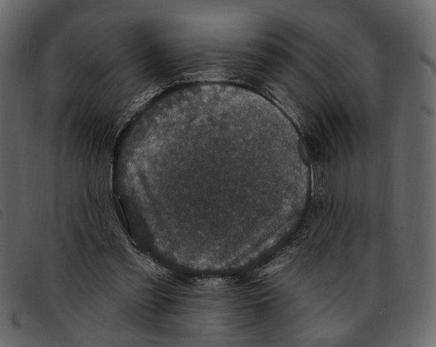 X0000097510301200803201621