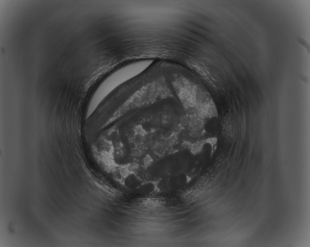 X0000097510303200803201621
