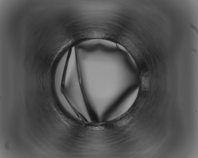 X0000097510304200803201621