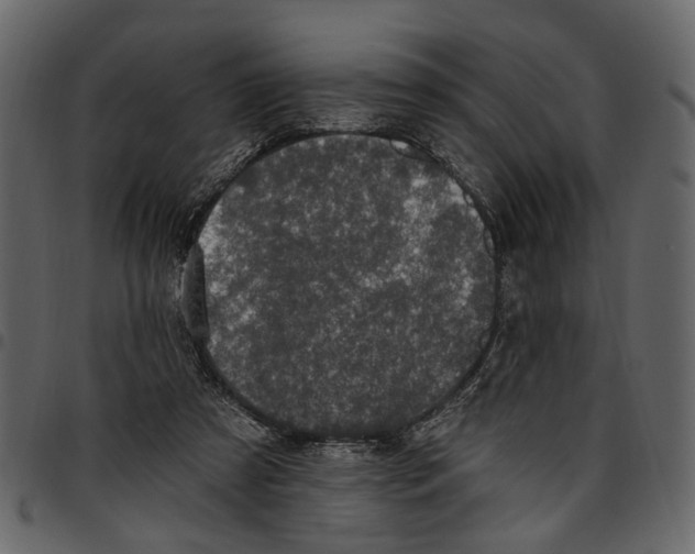 X0000097510305200803201621