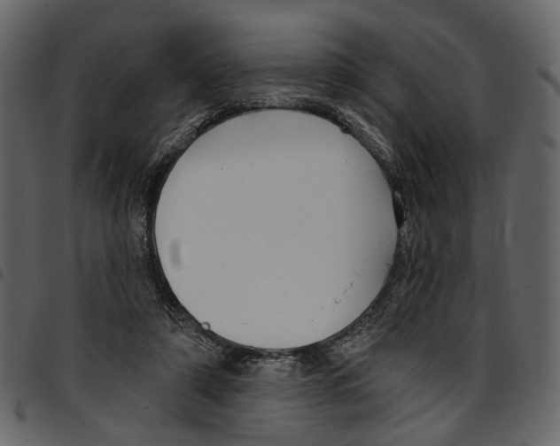 X0000097510306200803201621