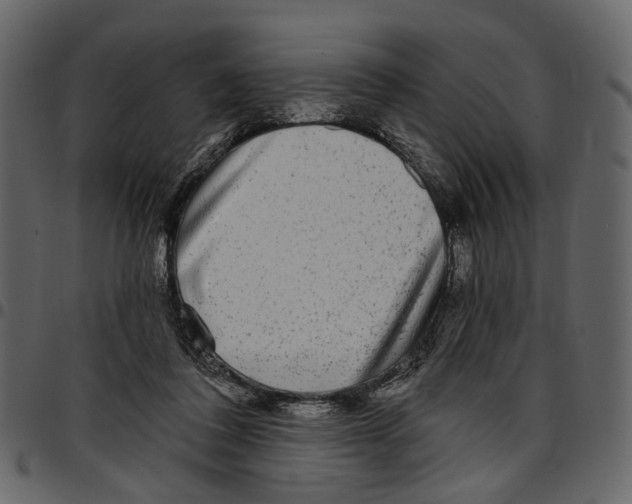 X0000097510308200803201621