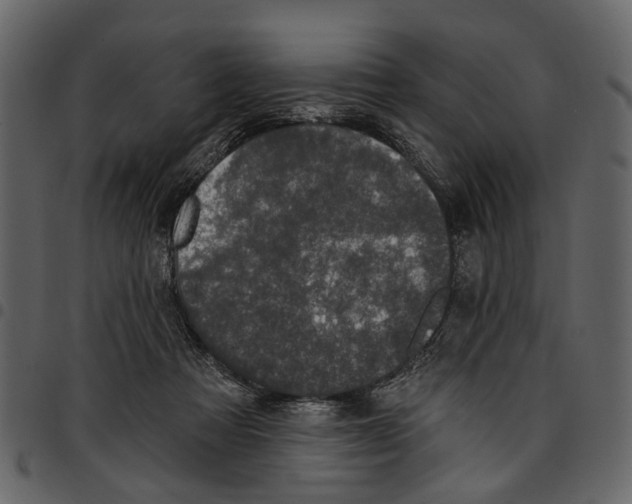 X0000097510313200803201621