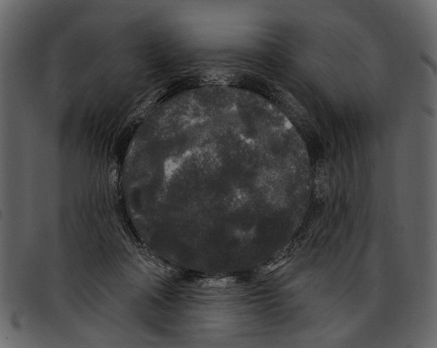 X0000097510314200803201621