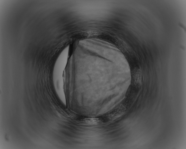 X0000097510316200803201621