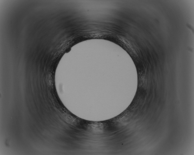 X0000097510317200803201621
