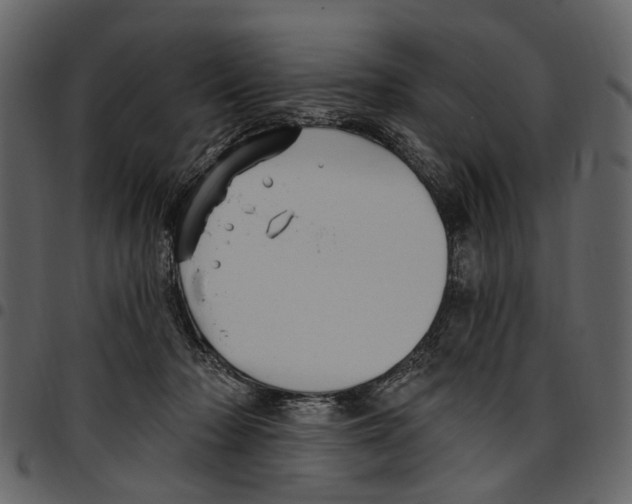 X0000097510318200803201621
