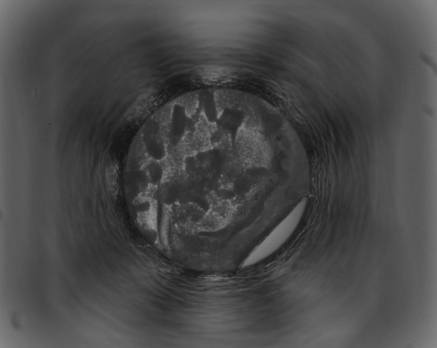X0000097510319200803201621