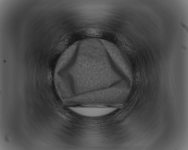 X0000097510320200803201621