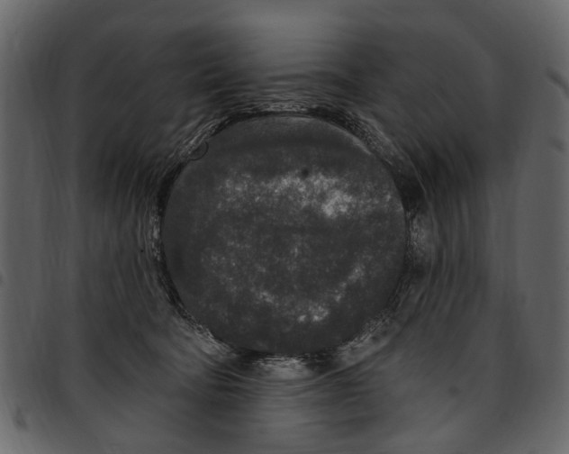 X0000097510322200803201621