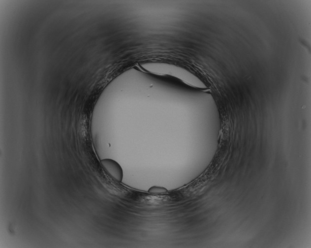 X0000097510323200803201621